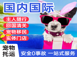 福州航空快运国际宠物托运 【国